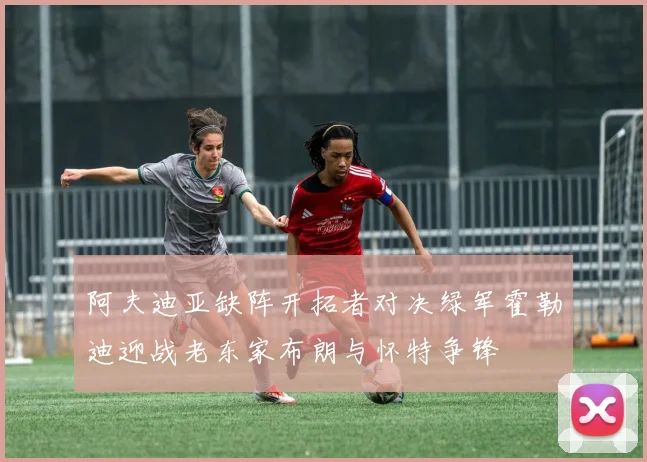 阿夫迪亚缺阵开拓者对决绿军霍勒迪迎战老东家布朗与怀特争锋