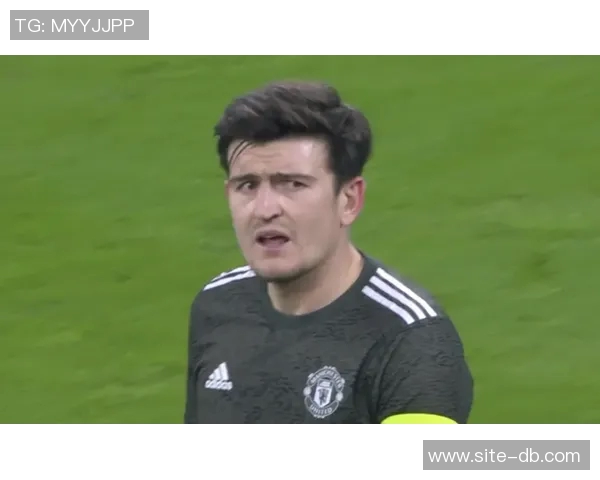 狄龙谈裁判执法困境直言不责怪老裁判的无奈与迷茫 狄龙谈裁判执法困境直言不责怪老裁判的无奈与迷茫